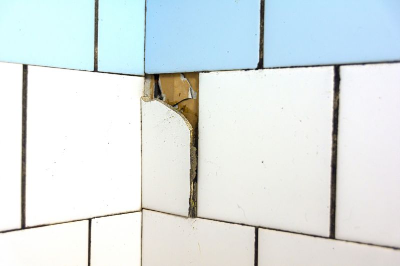 Tile Repair Specialists